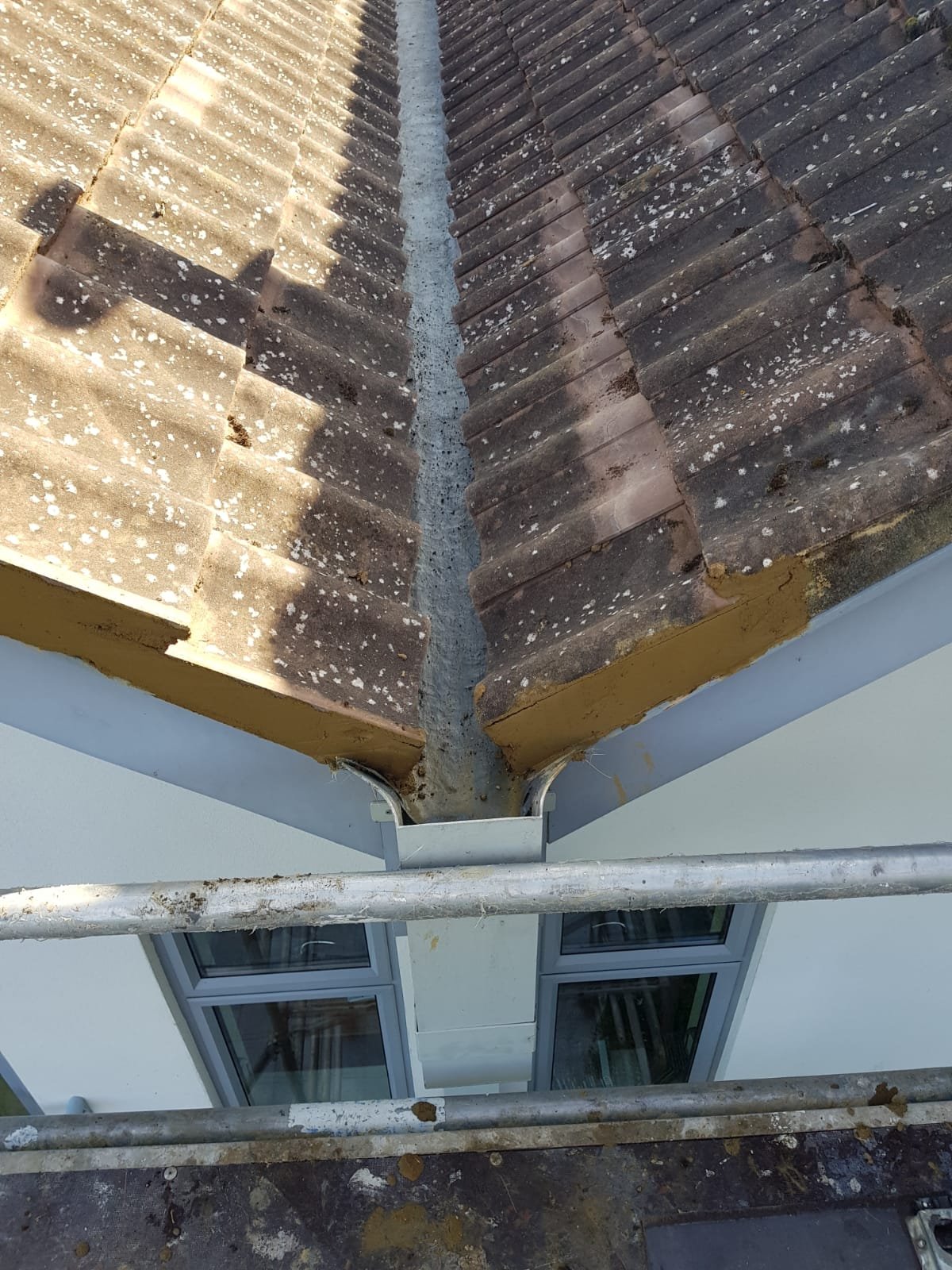 Exterior Maintanance